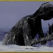 30 Mythical Creatures Caught On Camera That Were Only Seen Once