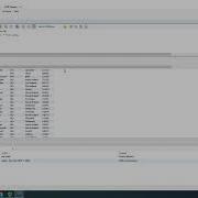 Basic SELECT Queries In MySQL