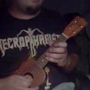 Necrophagist Seven Ukulele Metal Cover