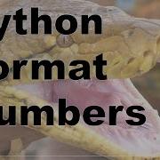 120 Python Formatting Numbers