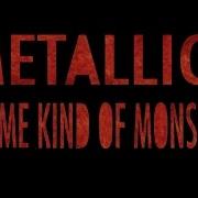 Metallica Some Kind Of Monster DVD Trailer