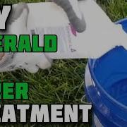 DIY Emerald Ash Borer Treatment Treating Ash Trees For Emerald Ash Borer Yourself EAB Treatment