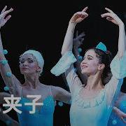 胡桃夹子 完整版 柴可夫斯基经典芭蕾 马林斯基剧院演出 Tchaikovsky S The Nutcracker Full Ballet
