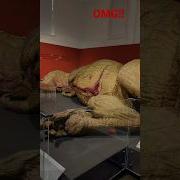 Worlds First Dead T Rex Shorts Short Shortsvideo Views Omg Dinosaur Amazing Epic Real