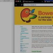 MeanStackJS What Is Bower