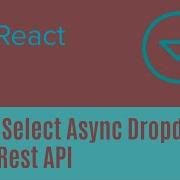 Dynamically Create ReactJs Dropdown Using API Async Dropdown With React Select