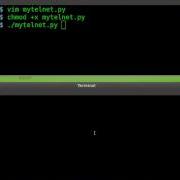 Python Telnet Part 1
