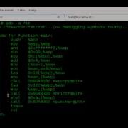 FuzzySecurity Format String Exploitation Part1