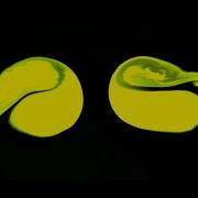 Fluid Sim Hue Test
