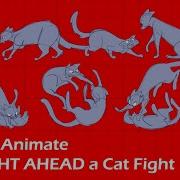 How To Animate STRAIGHT AHEAD A Cat Fight