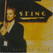Sting Fields Of Gold 1993
