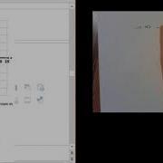 Unit 4 Study Guide Part 2