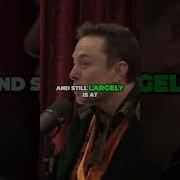 Unmasking The Dark Agenda The Voluntary Human Extinction Movement Exposed