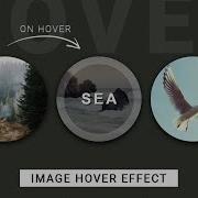 CSS Image Hover Effects Create Image Hover Overlay Effects With Source Code