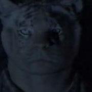 Animorphs Tiger Morph
