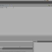 Переменные в Action Script в Adobe Flash CS4 35 42