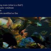 Lab 9 Lecture Part 1 Introduction