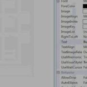 Visual Basic 2008 Unclickable Button