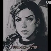 Дельфин Dolphin Война