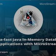 Create In Memory Database Apps With Java MicroStream JUG Ingolstadt German