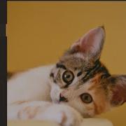 CSS Simple Sidebar Menu With Hover Effect