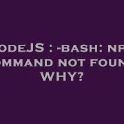NodeJS Bash Npm Command Not Found WHY