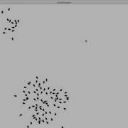 Localised Boid S Algorithm