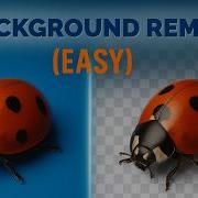 How To Remove Backgrounds With Nano Banana Google Gemini S AI Image Editor