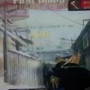 Double Spawn Tube On Summit