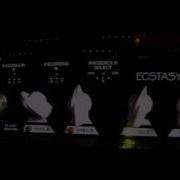 Bogner Ecstasy 101b