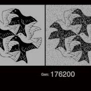 GAraw Image Based Genetic Algorithm