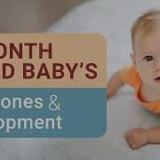 5 Month Old Baby Development And Milestones