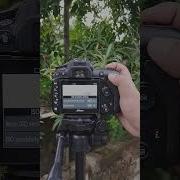 Nikon D7500 Sharp Photos Settings Best Manual Settings Nikon D7500 Shorts Photography Viral
