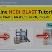 How To Use BLAST Quick Easy Tutorial Bioinformatics English