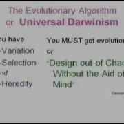 Evolution Algorithm