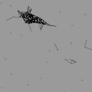 Begin The Creative Coding