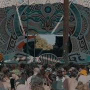 LUIS M SON LIBRE FESTIVAL 2024