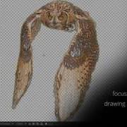 EFX Uniqueness Demo