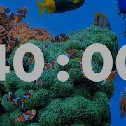 Productive Ocean Expedition 40 Minute Underwater Fish Timer For Goal Attainment
