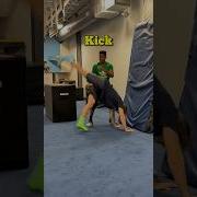 YOU GOTTA KICK HARD INTO YOUR HANDSTAND