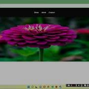 Dynamically Change Background With JavaScript CSS HTML Random Image Generator HTML DOM
