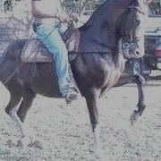 MOV03304 MPG