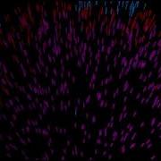 Epidemic Simulation Python 1000 People 100 Moving On A 200x200 Grid