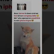 Who Opened An Email Link To Win Iphone 16 Pro