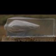 44 Magnum Vs Gel Block HD