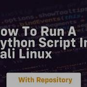 How To Run A Python Script In Kali Linux