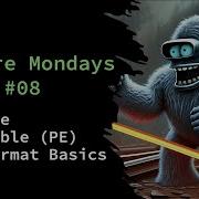 MM 08 PE File Format Basics For Malware Analysis And Reverse Engineering
