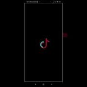 Drawing TikTok Logo Using Python Programming Coding Turtle Pythontricks