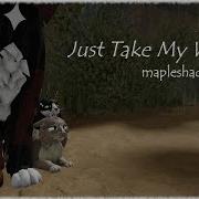 Just Take My Wallet Mapleshade WCUE MV CW In Desc