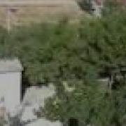 Seyfi Doganay Yalan Mi Kiz Damar Piribeyli